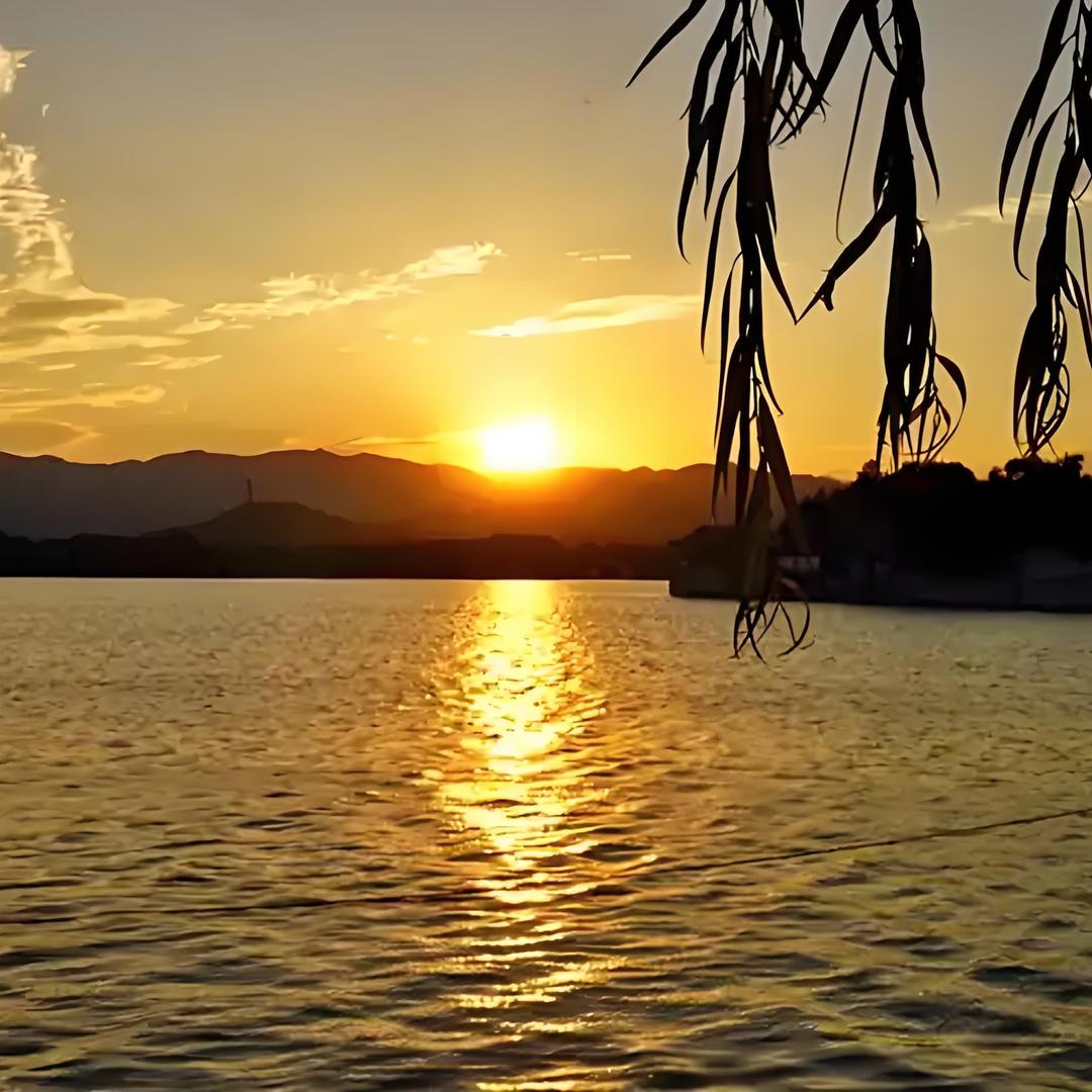 鼠跃龙骧