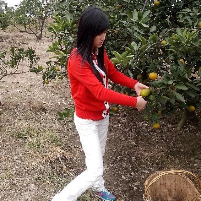 依依