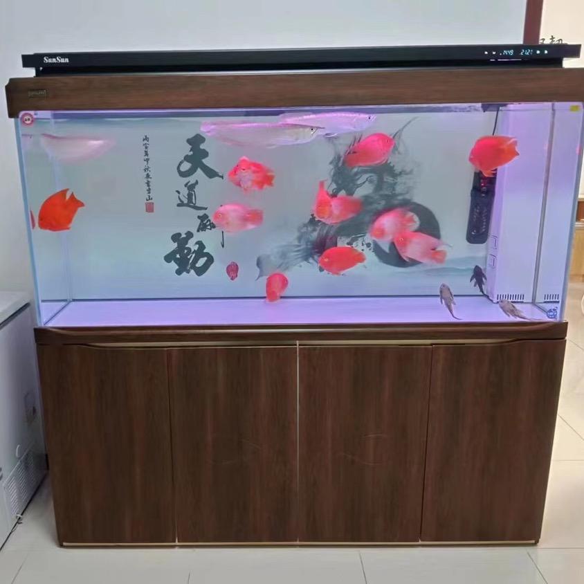 青茂水族