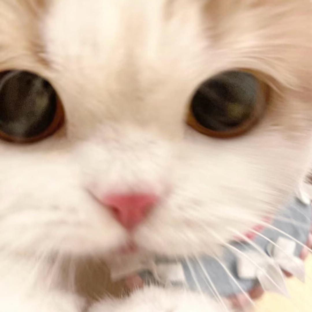 ʚkkɞ