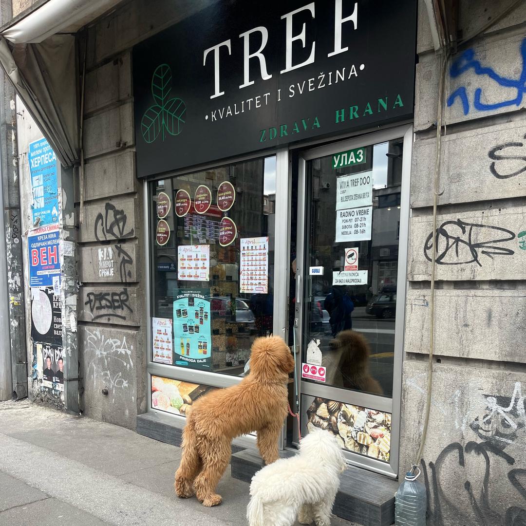 Shakespeare莎士比亚