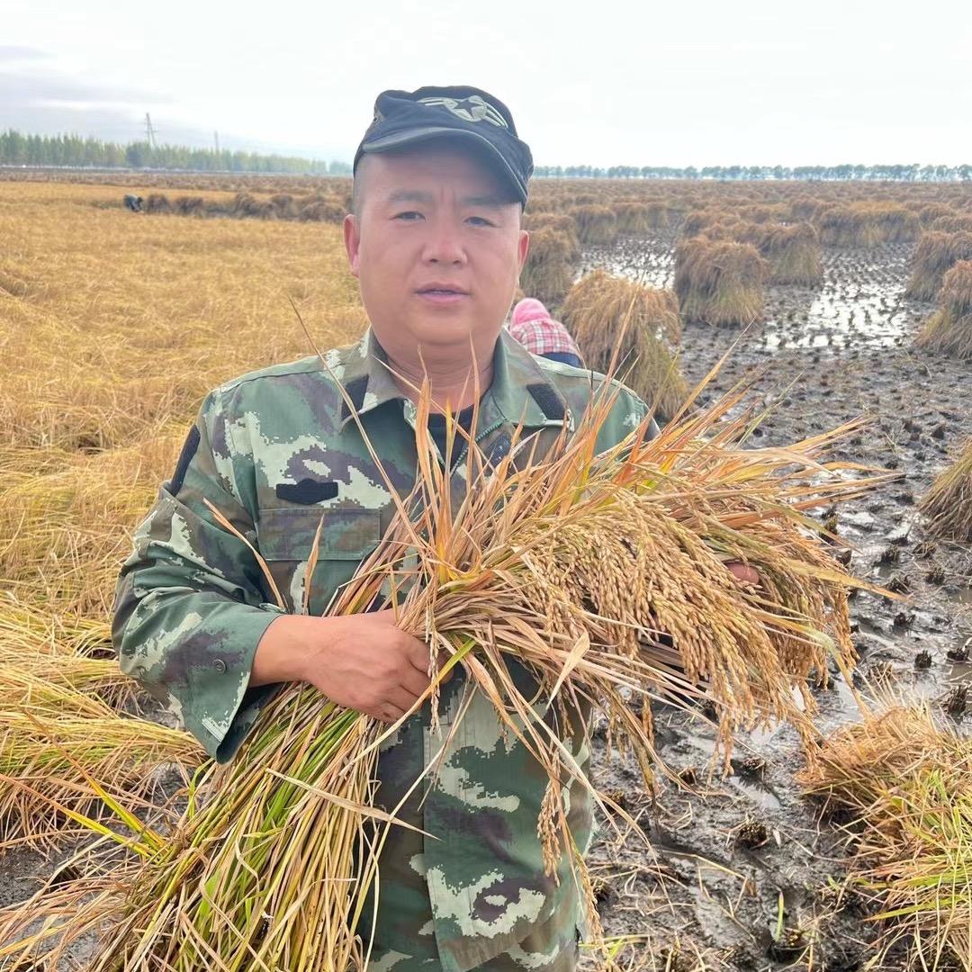 米双道五常市铸荣水稻种植专业合作社粮油专卖店