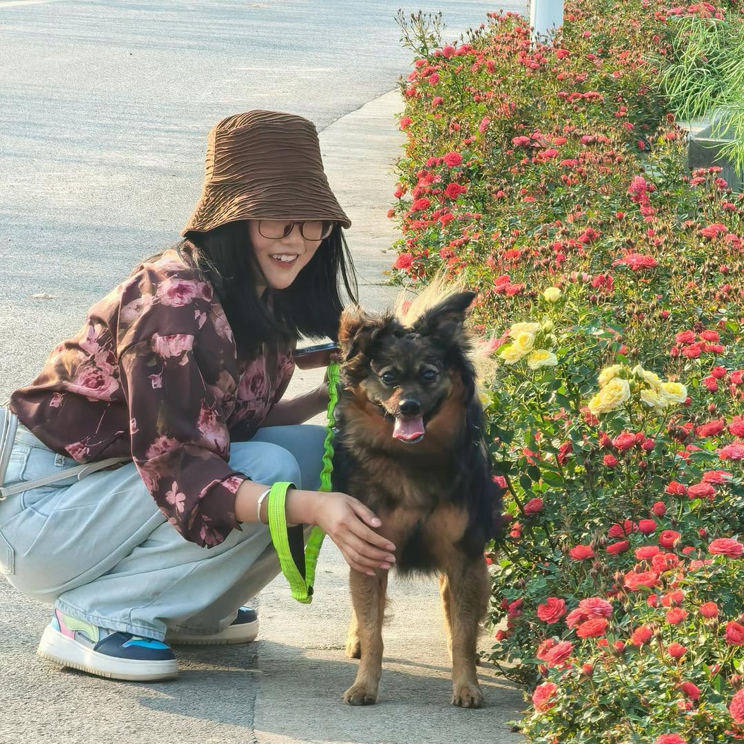 木丰与四宝