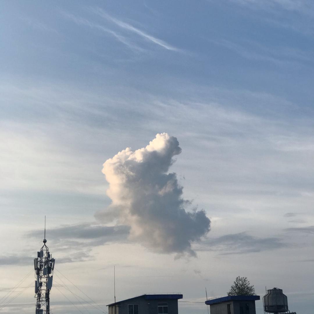 洋洋