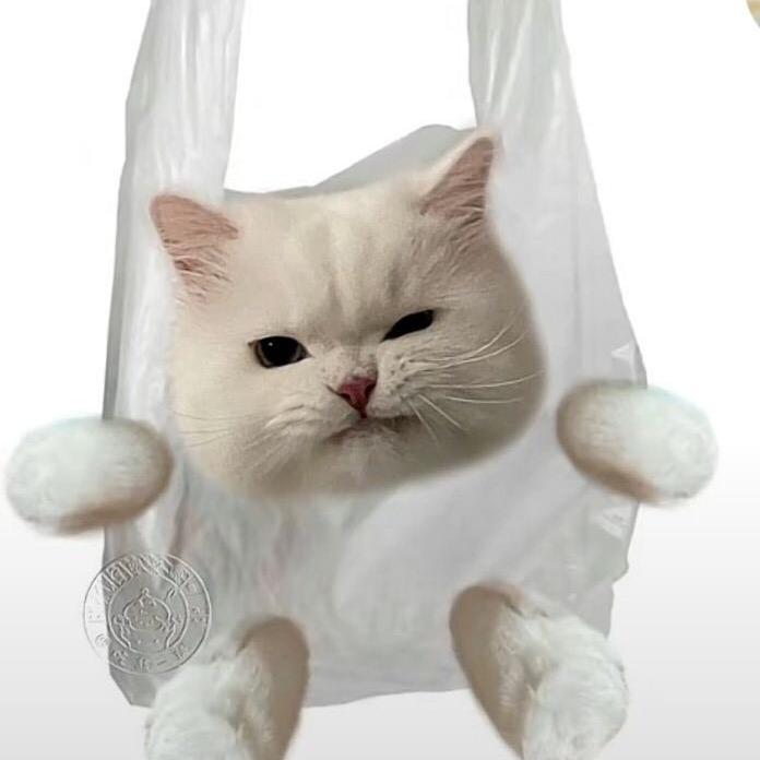 木华晴优