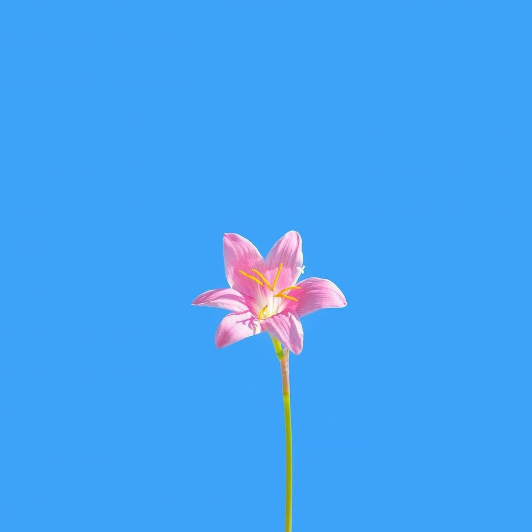 花花世界～