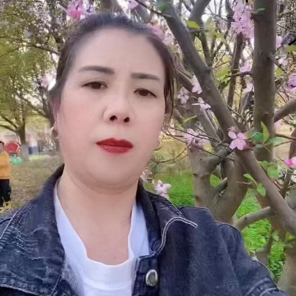 风中的太阳