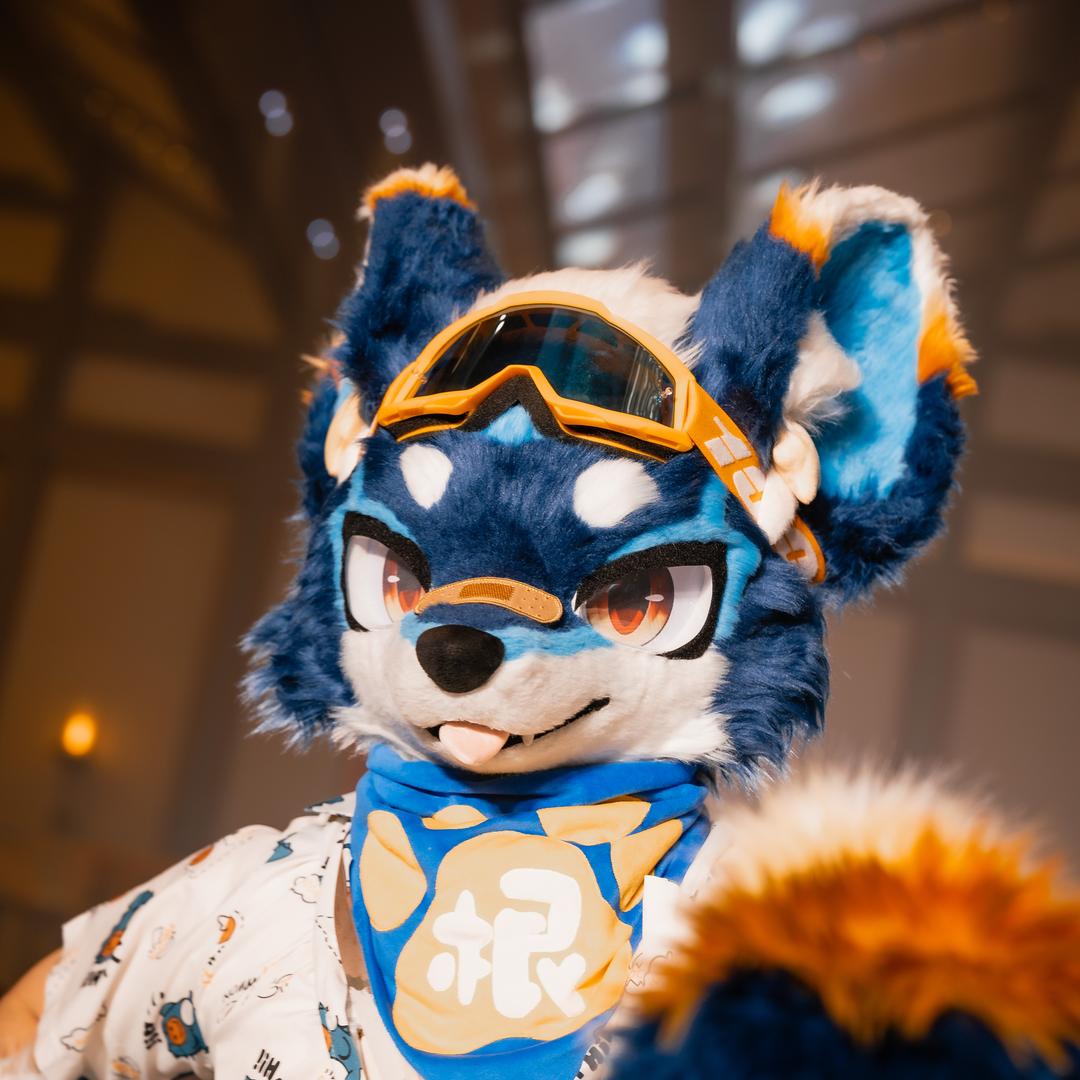 板蓝根🔜墨云⑧