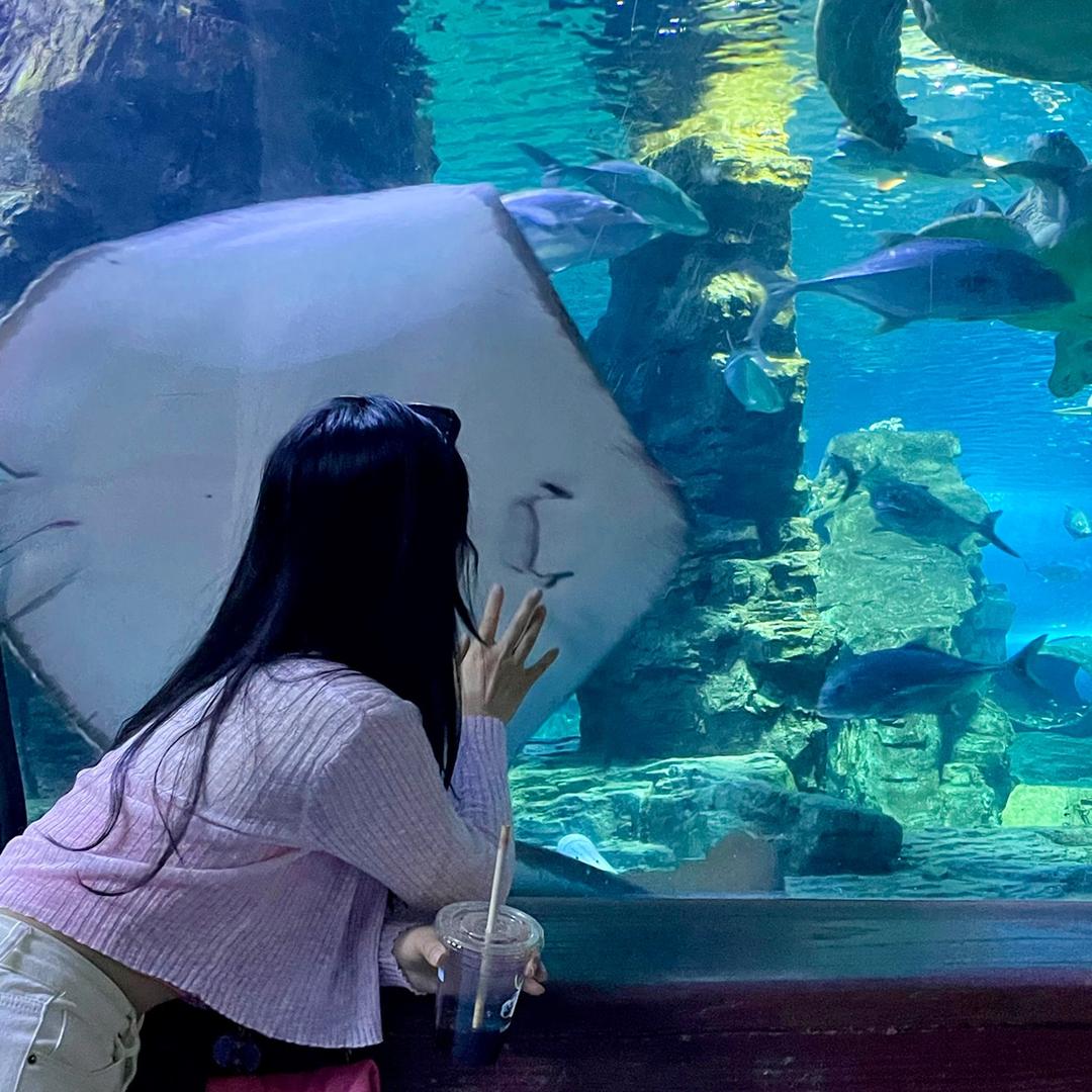不吃零食