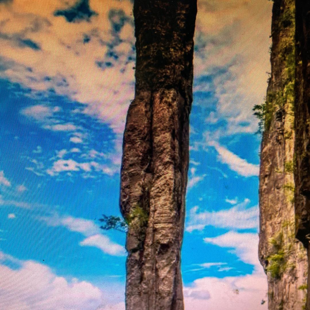 ±…#