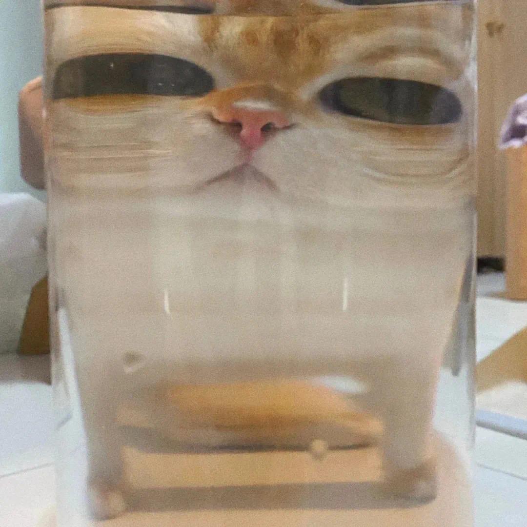 江笠筍
