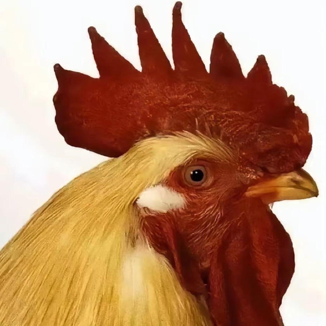 兰州拉面王子
