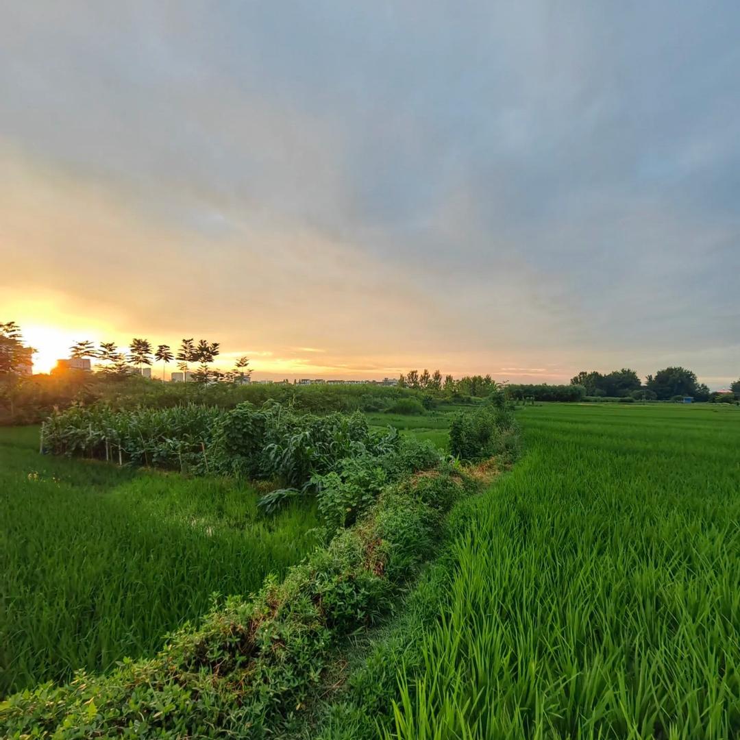 惠美傢俬城(沙园中路)广州娜溪建筑工程有限公司