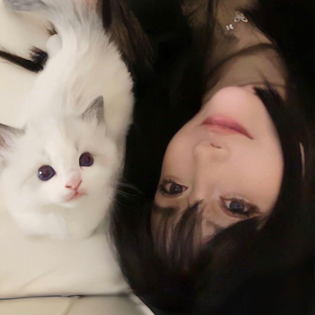 Melody🐨月月🦋
