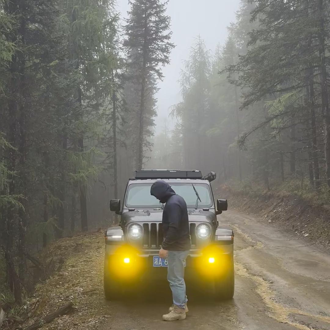 风浪越大鱼越贵