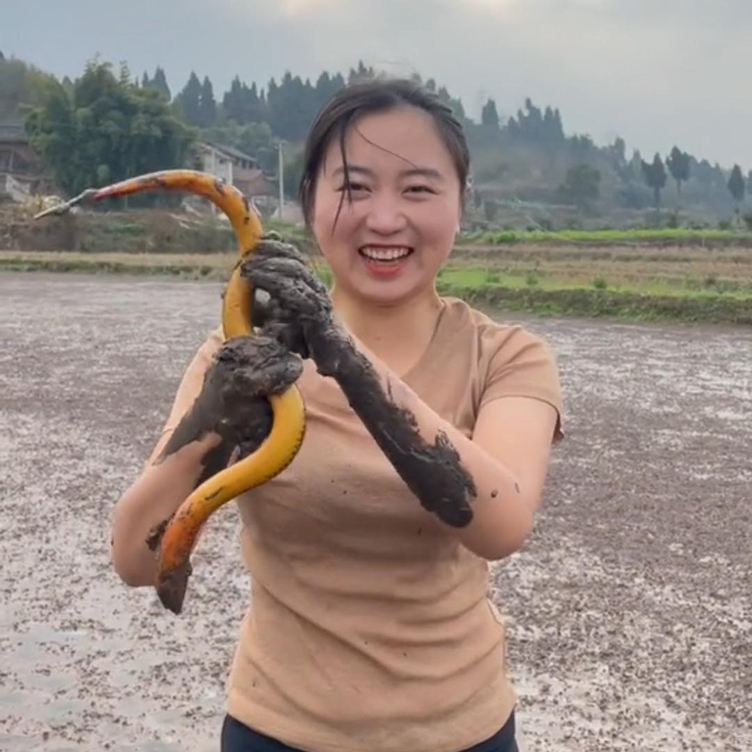 鱼小妹