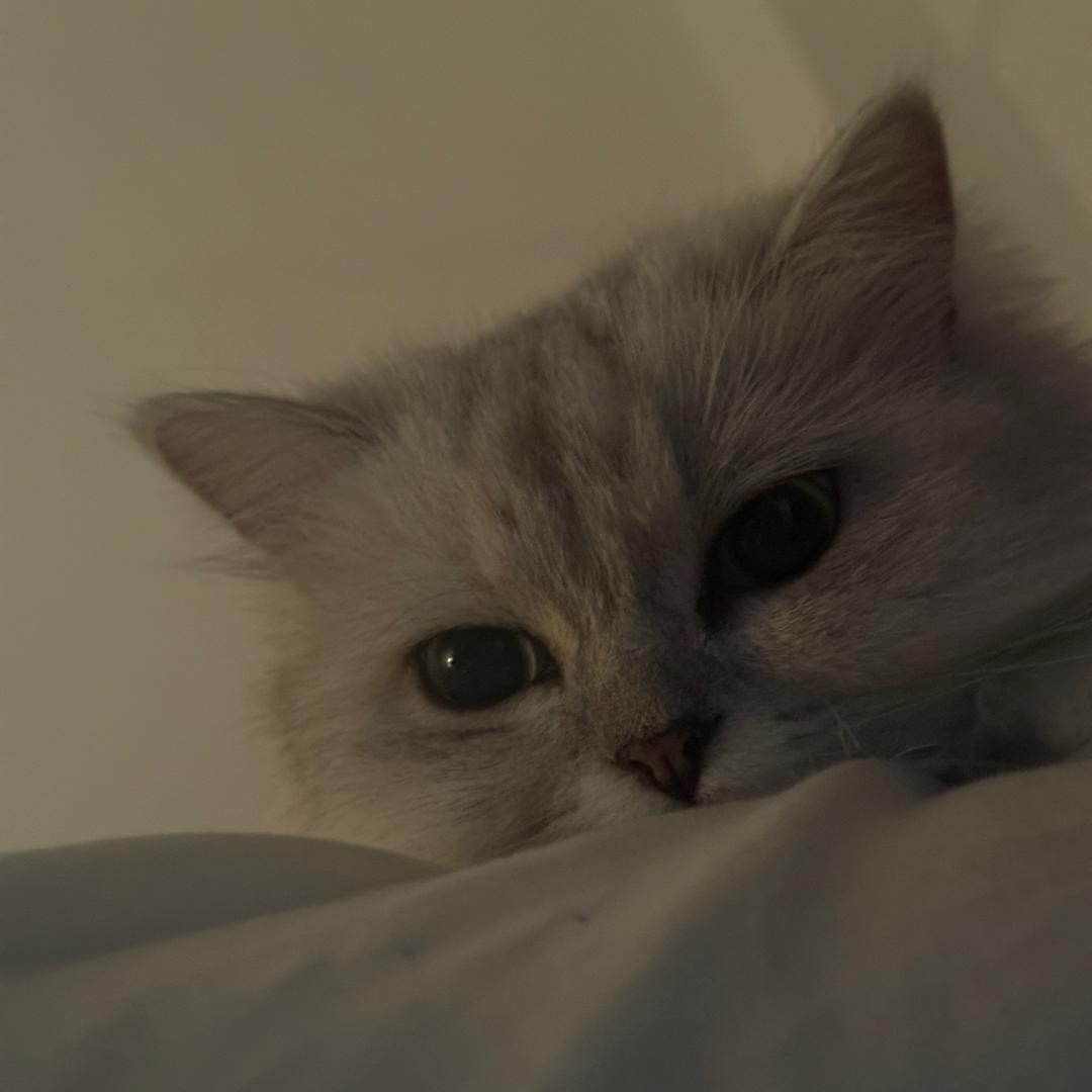 我只想睡觉
