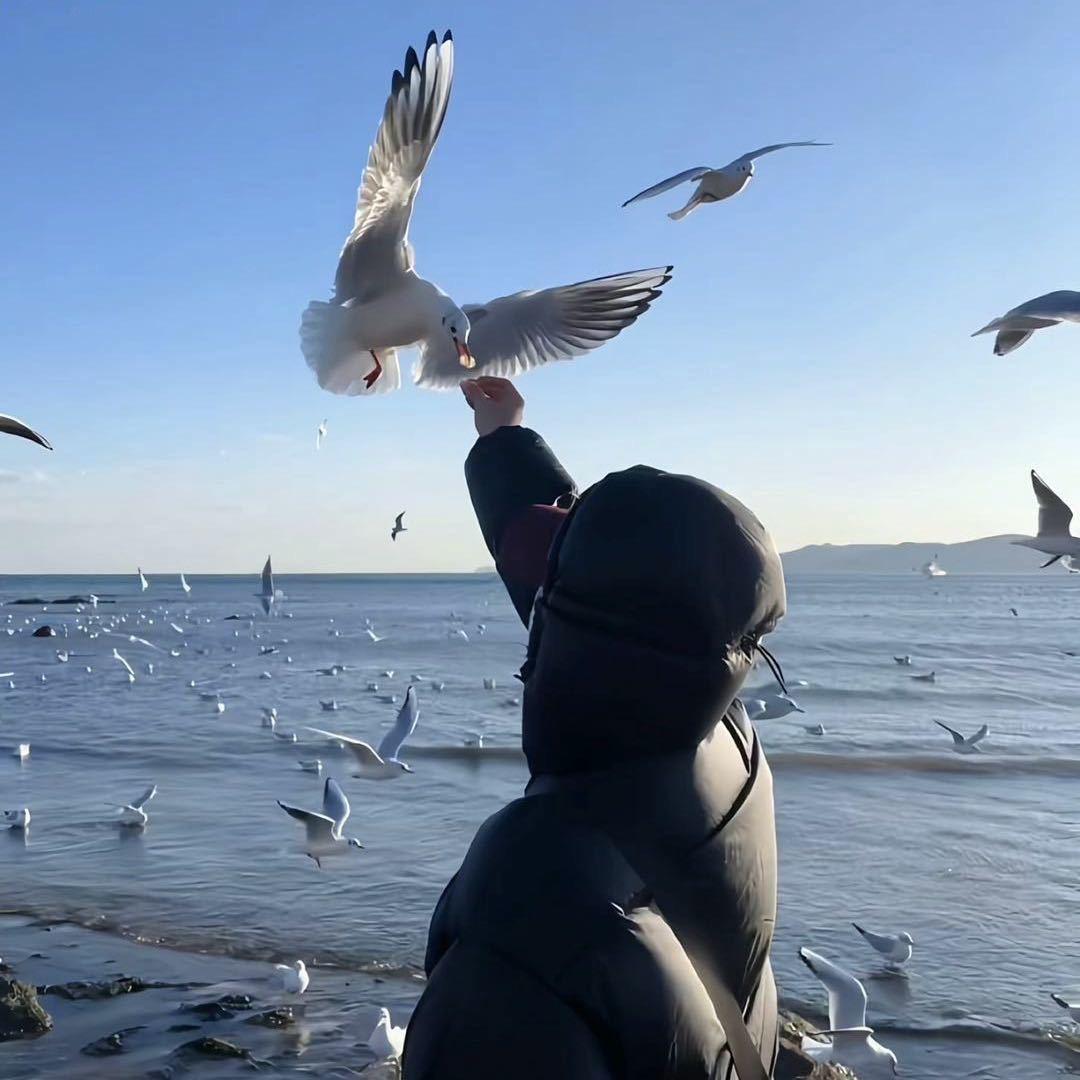 浪浪