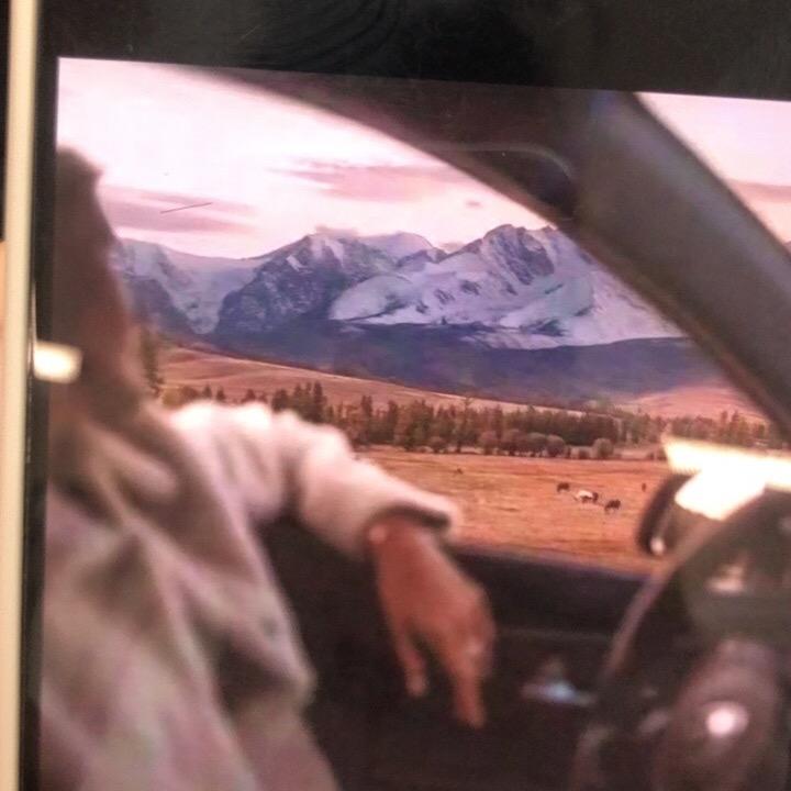 舵主