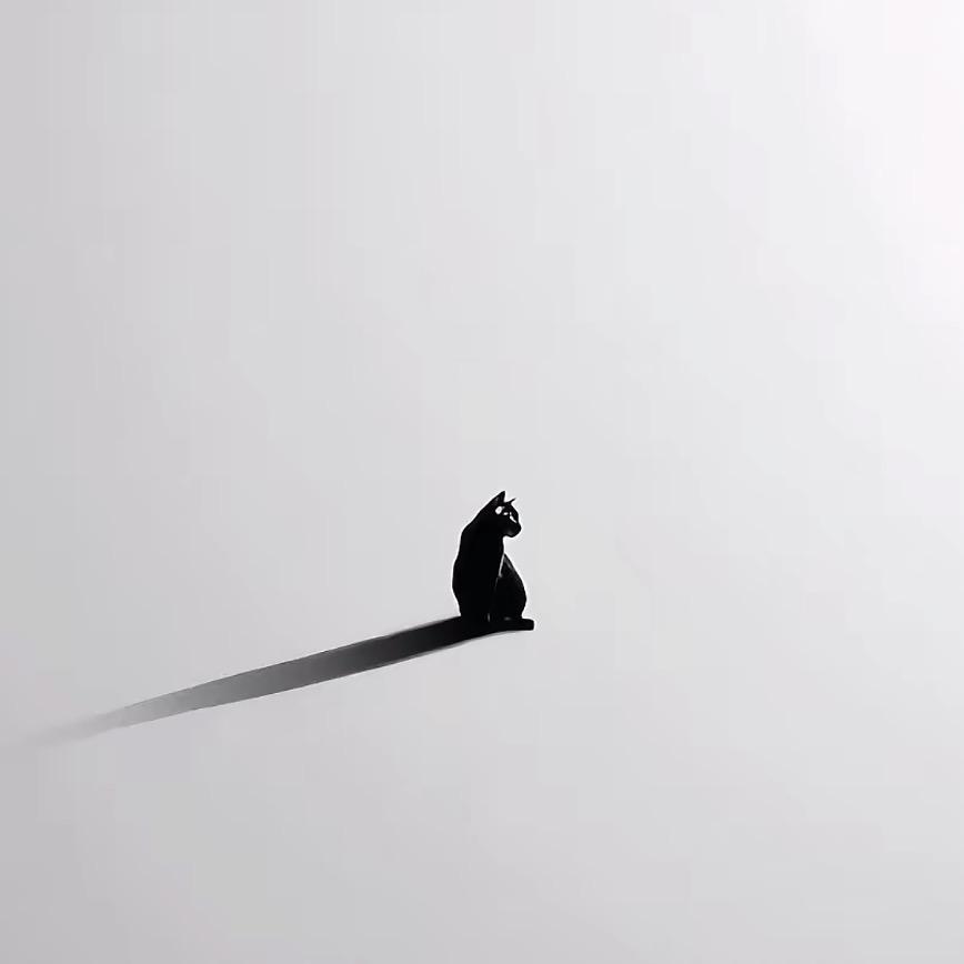 W🐾
