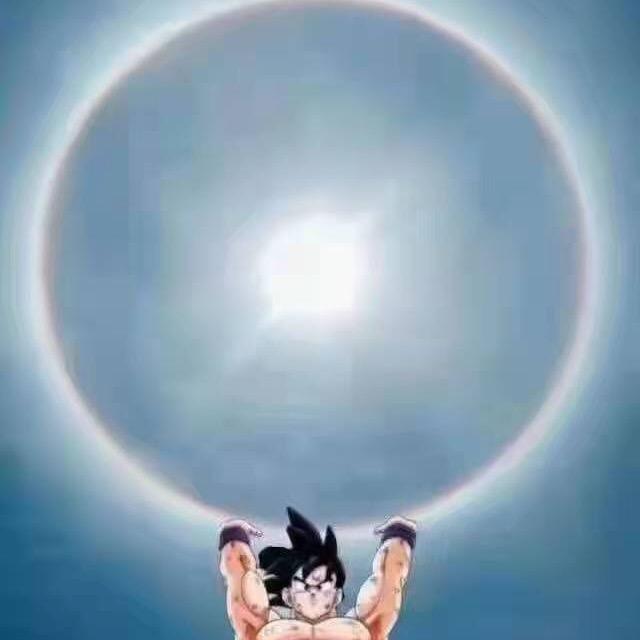 钓鱼狼头像