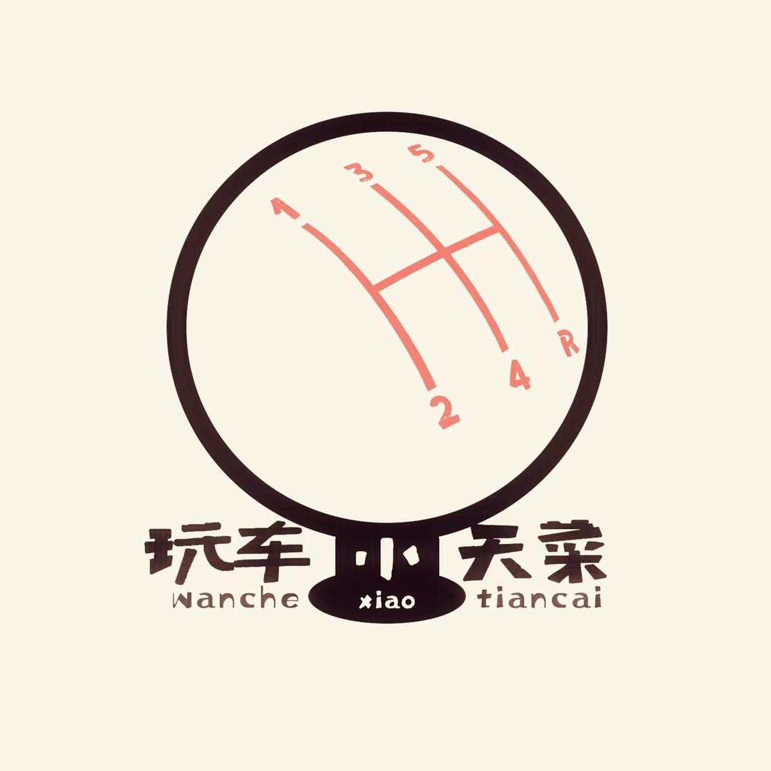 玩车小天菜