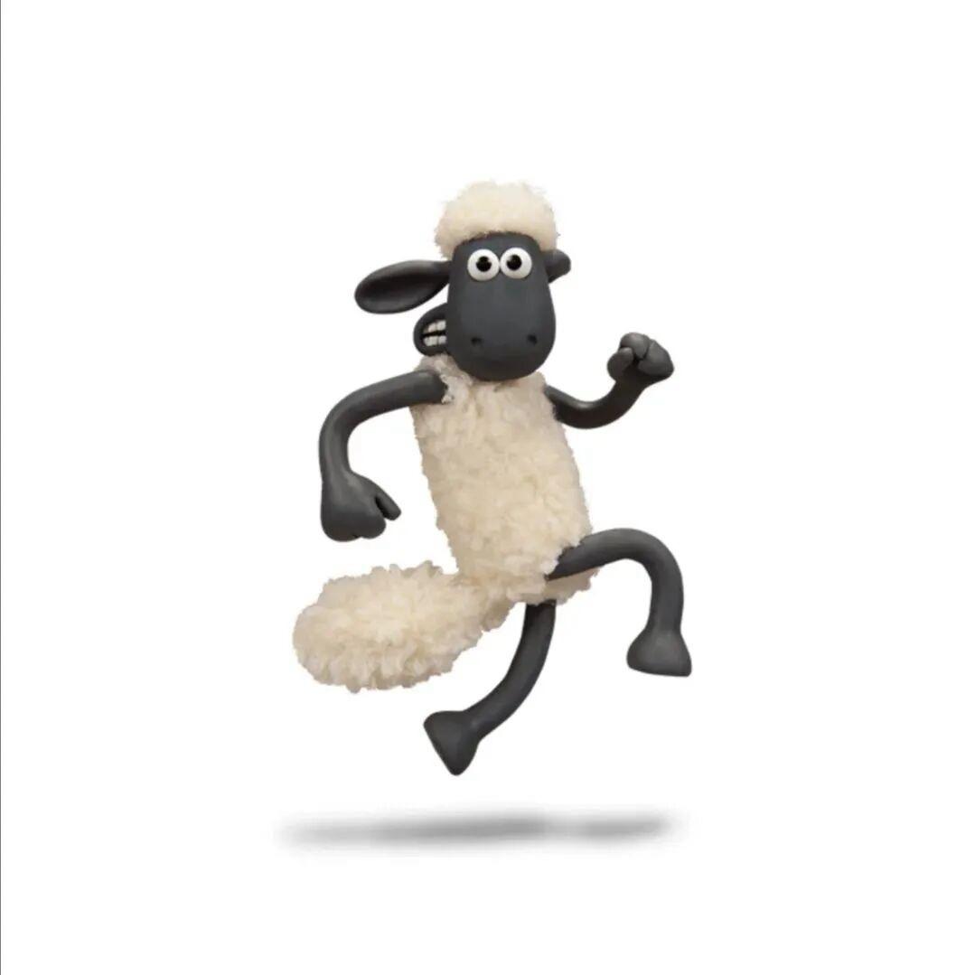小羊崽纸🐑