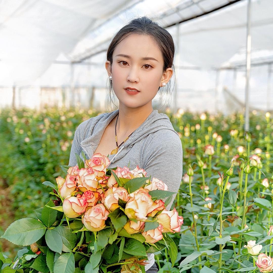 玫瑰种植🌹小胡（繁卉）