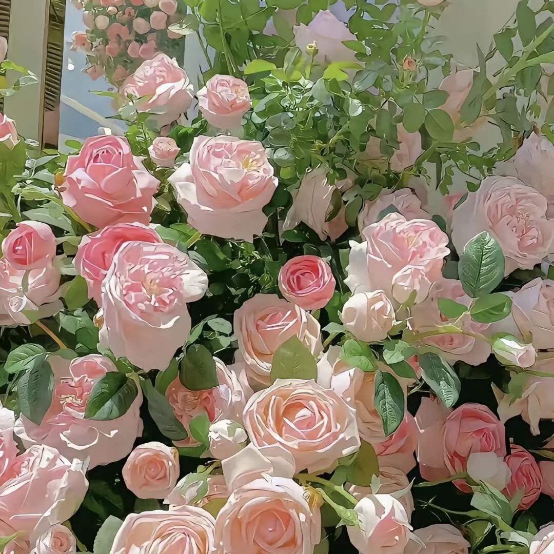 黄小宝