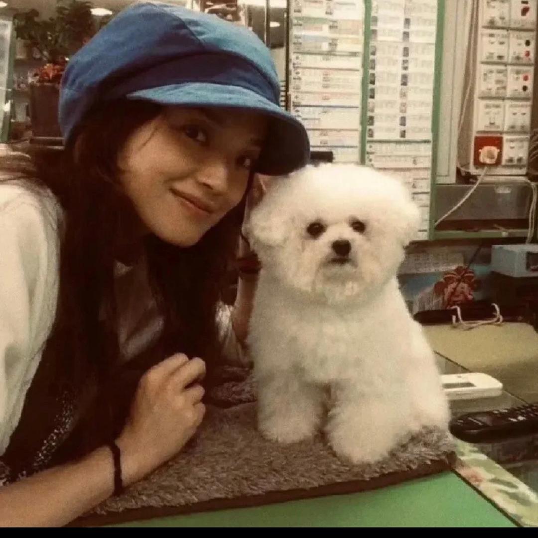 小碗吃板栗