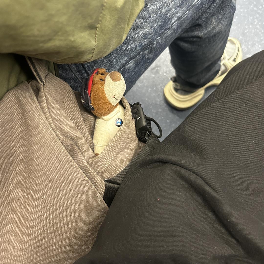哦了哦