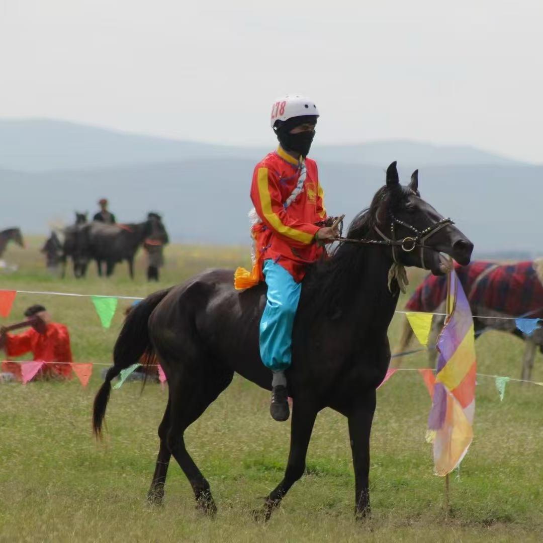 爱马王子🐴