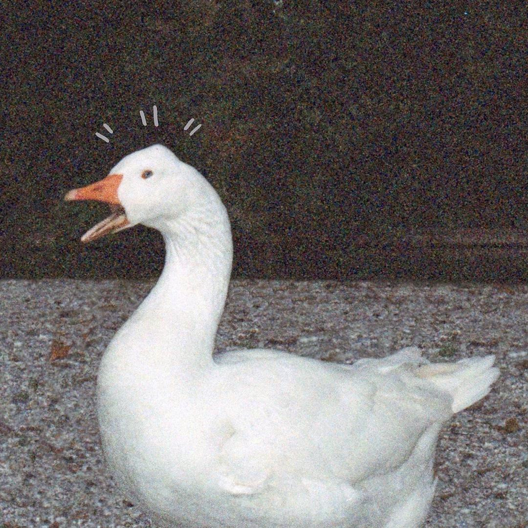 苦恼不是烦恼*