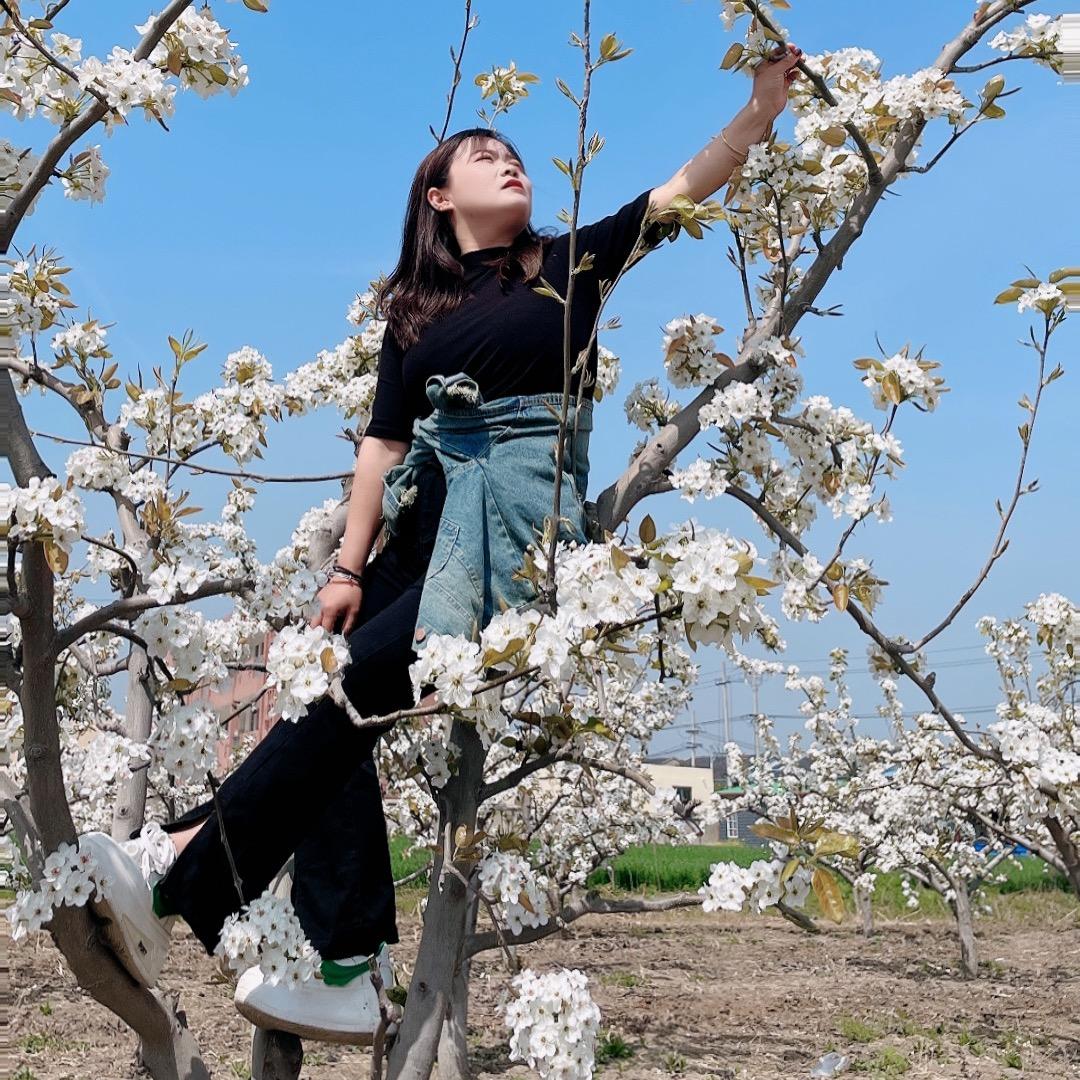 喜欢吃香菜：