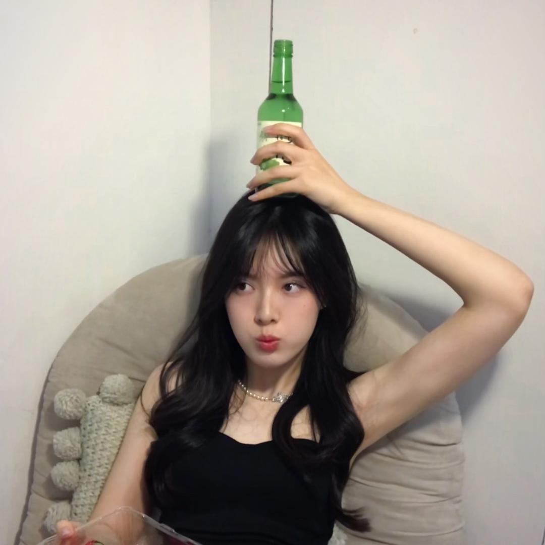 松狮在呢