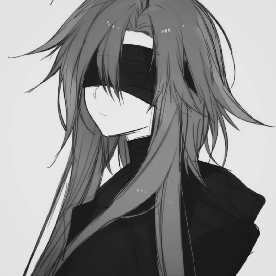 一只狐狸