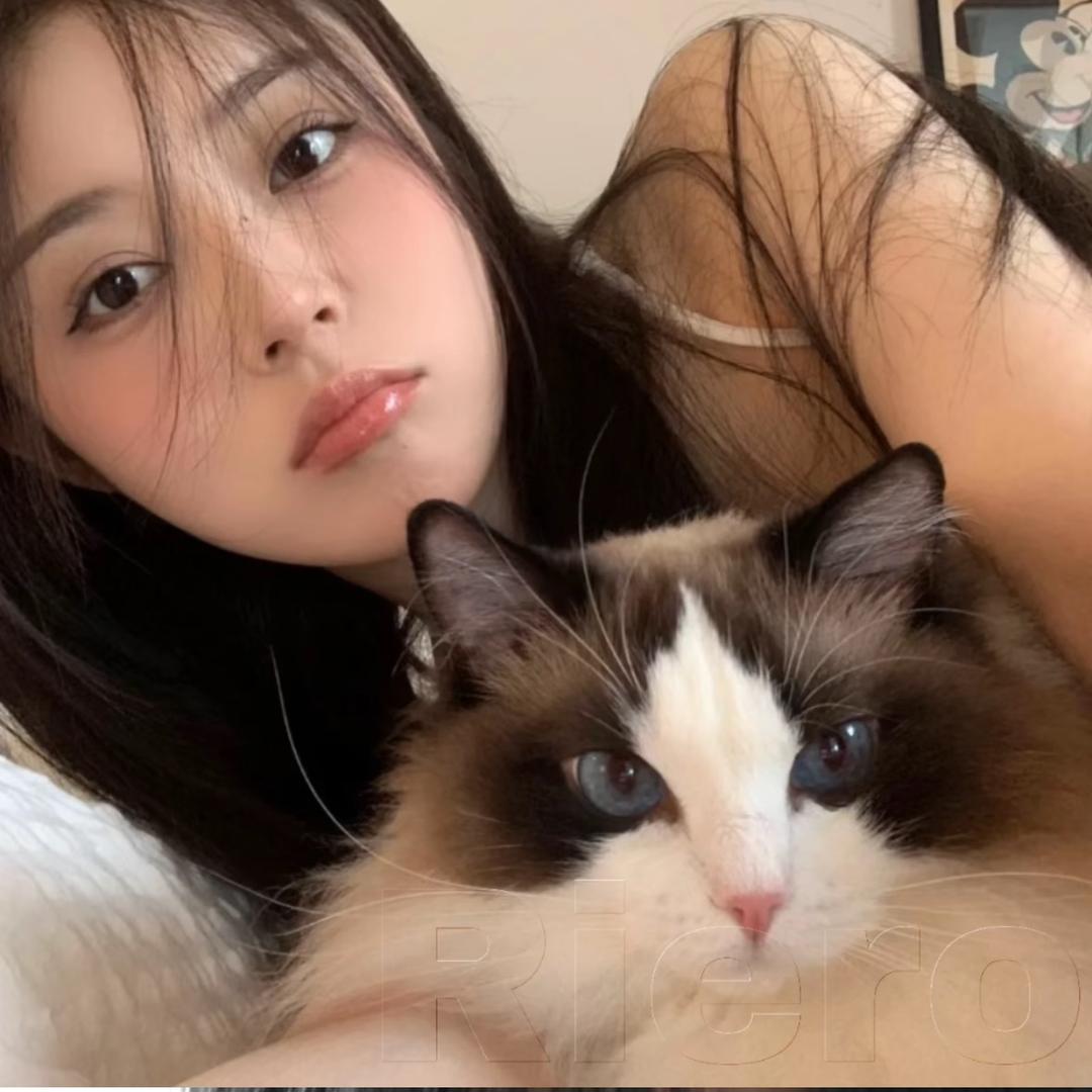 小袁在卖烧鸭𓅿𓅹