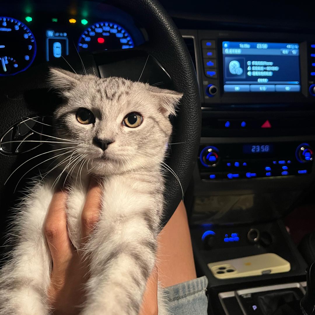 大学城· 收车卖（重庆）