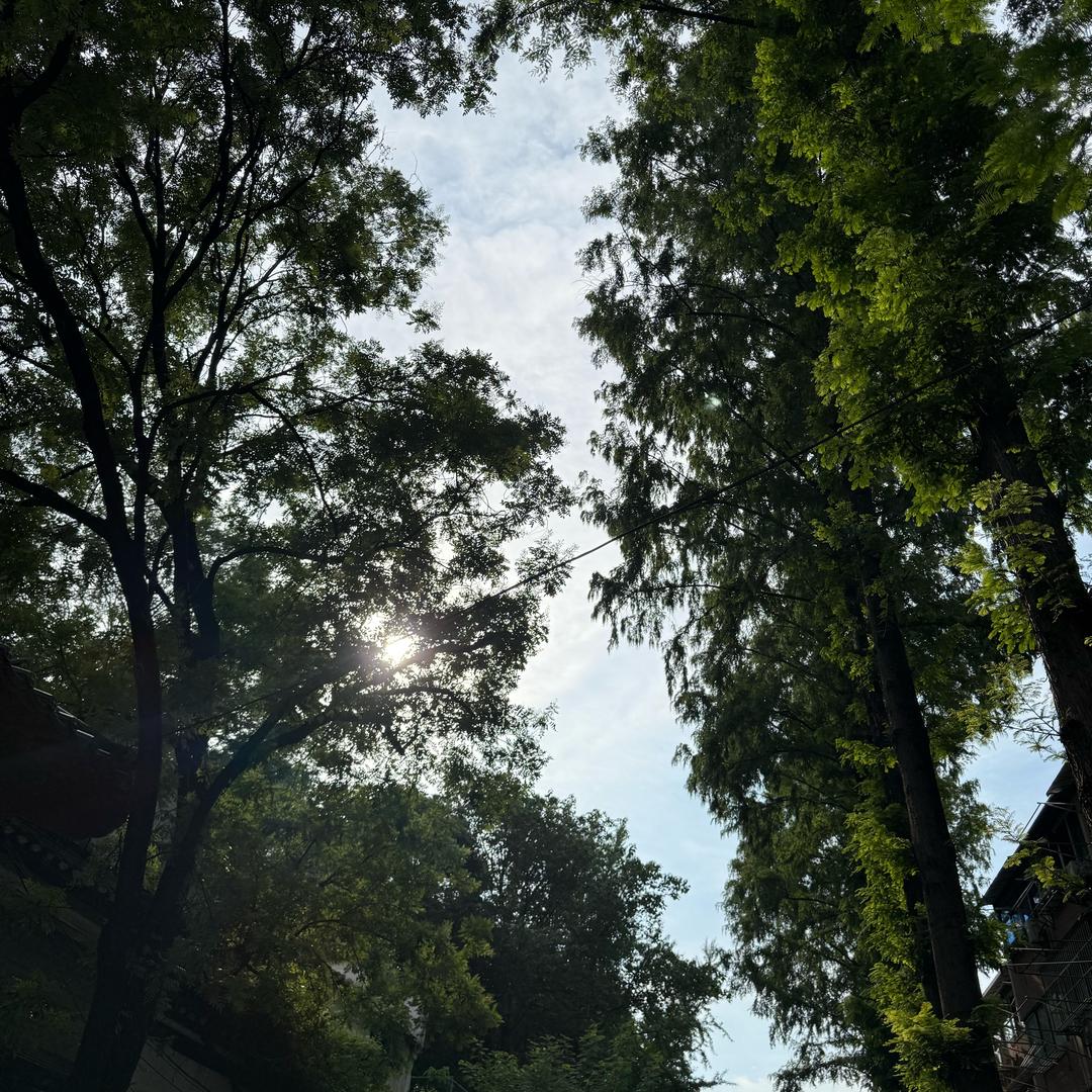 时机
