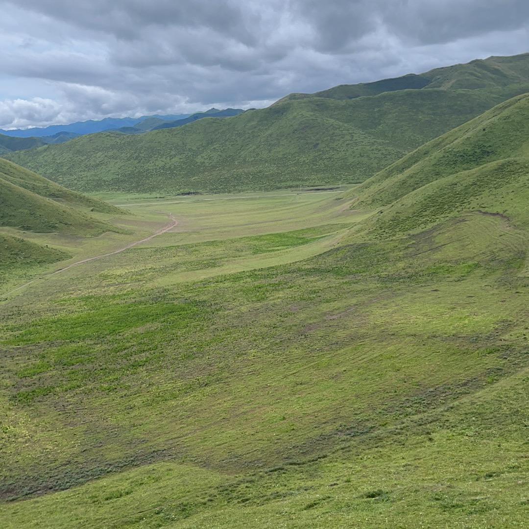 欧派门窗(LIVE·528玺都店)非实无道口店