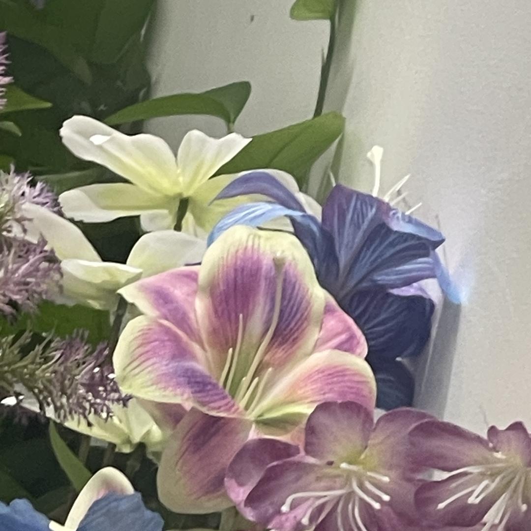 赵老师.胡昕科技6