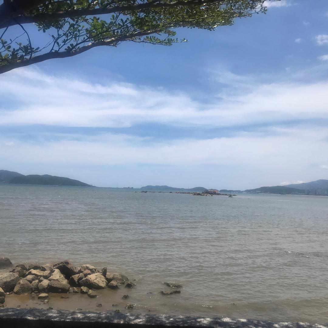 aidianying10头像