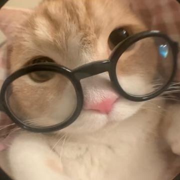 给北极熊推销羽绒服反被嘲笑