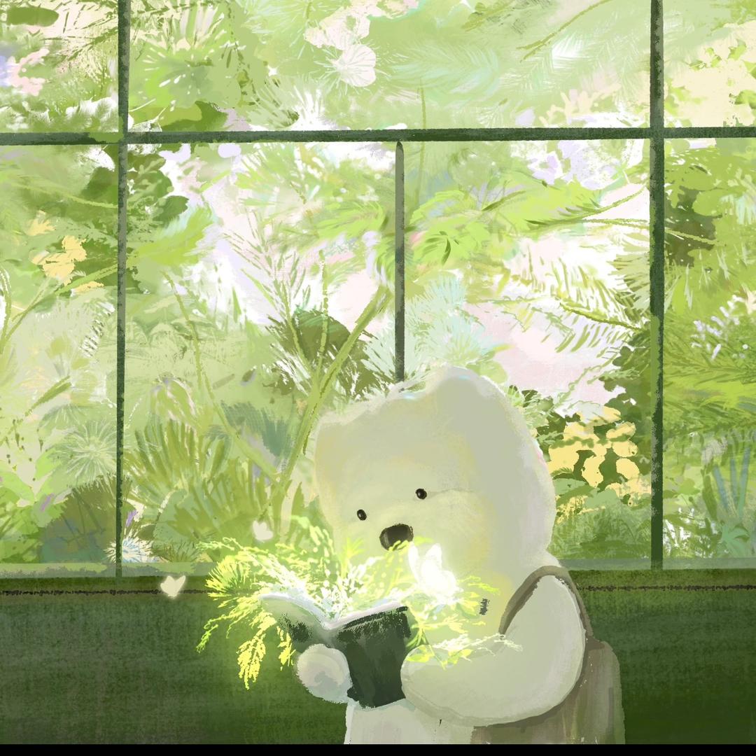 星见✨