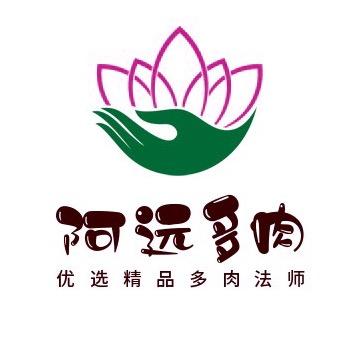 阿远多肉