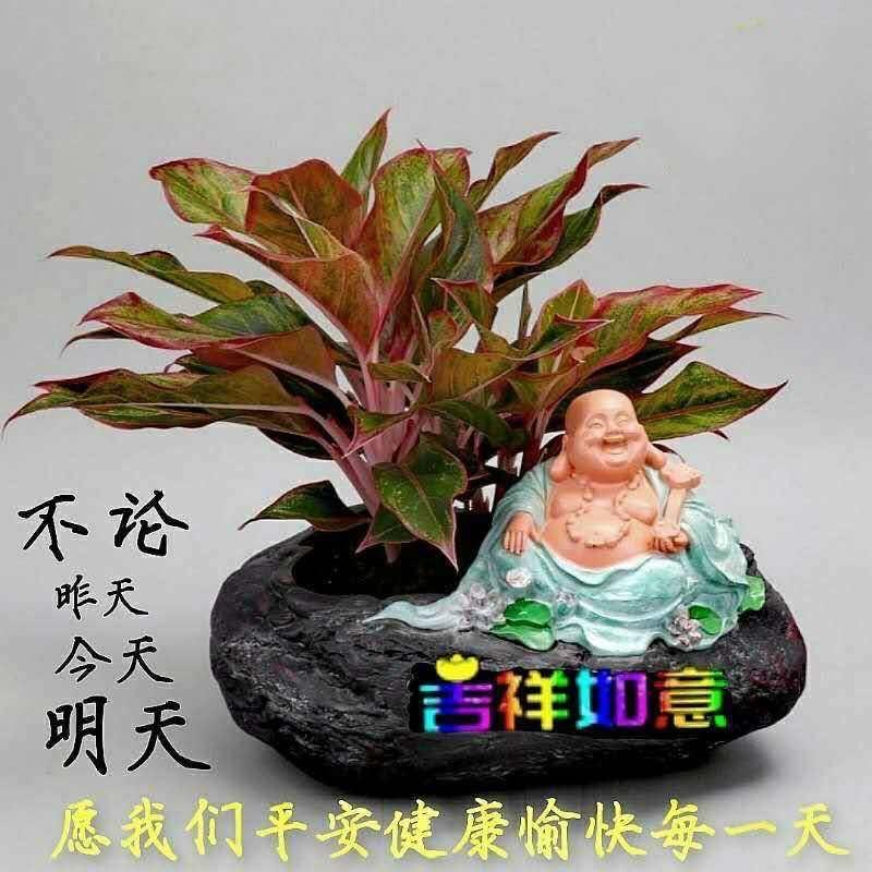 做个快乐的人