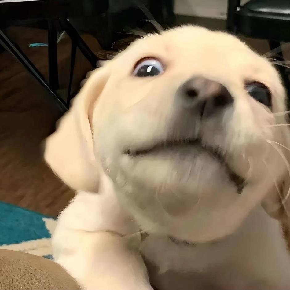 小赴.