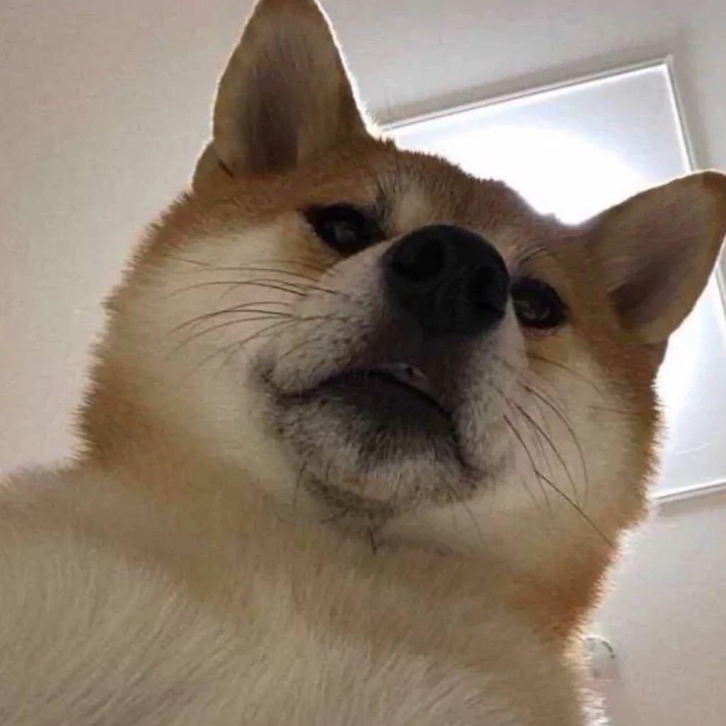 ￴ ￴ ￴￴ ￴￴