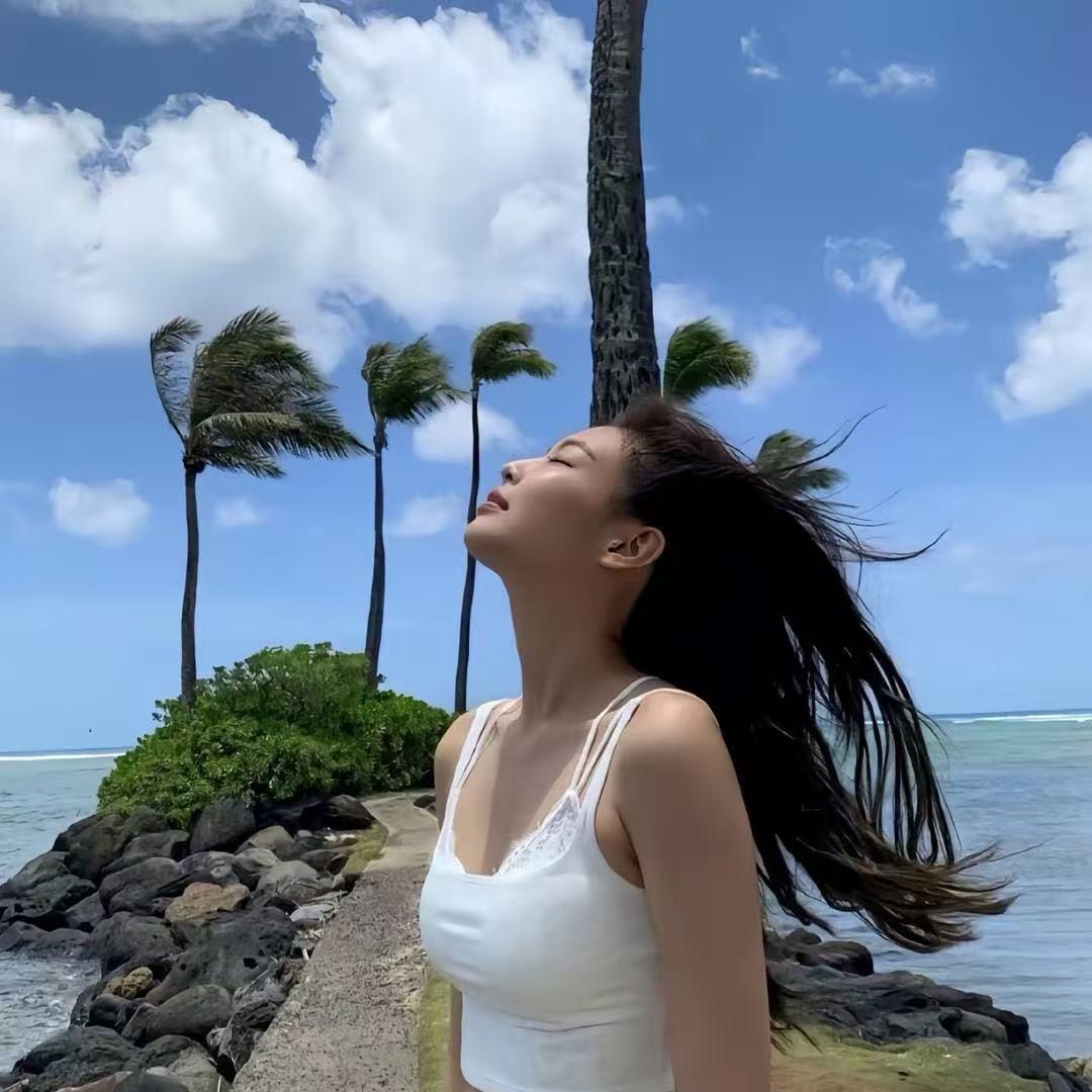 老虎🐯