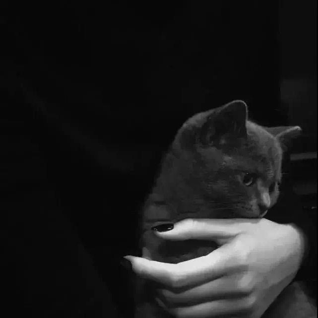 A.